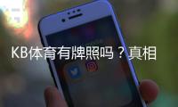 KB体育有牌照吗?真相揭秘与官方牌照查询及风险识别指南