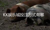 KK娱乐城投注方式有哪些?详解主流玩法与特色下注技巧