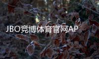 JBO竞博体育官网APP下载与使用全攻略:新手安装注册、充值提现及安全指南