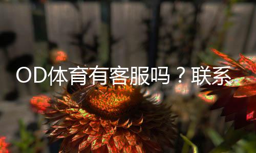 OD体育有客服吗?联系客服方式、在线时间与常见问题全解析