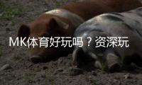 MK体育好玩吗？资深玩家带你揭秘真实体验与赢钱技巧