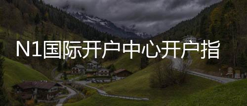 N1国际开户中心开户指南:新手注册流程、身份验证与安全注意事项