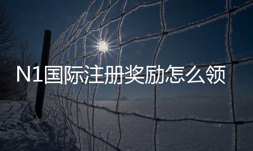 N1国际注册奖励怎么领取?新手领取流程、优惠类型与注意事项详解
