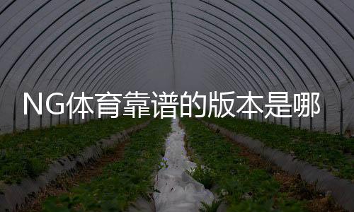 NG体育靠谱的版本是哪一个?最新版识别、下载渠道与防骗指南