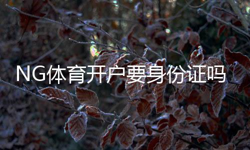 NG体育开户要身份证吗?实名认证、资料流程与常见问题全解