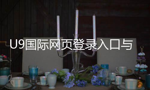 U9国际网页登录入口与注册教程：新手登录步骤、安全设置与常见问题解决