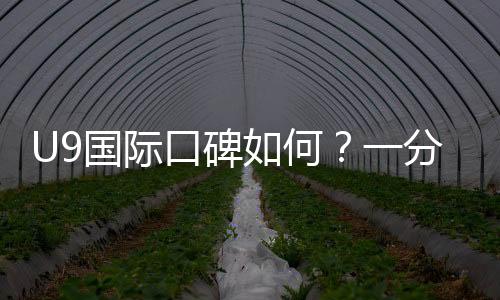 U9国际口碑如何?一分钟看懂真实评价、优缺点与安全性分析