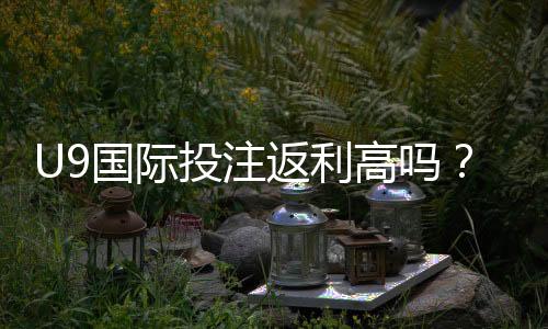 U9国际投注返利高吗?返利机制解析与真实收益测算