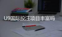 U9国际投注项目丰富吗?玩法种类、亮点与新手注意事项详解