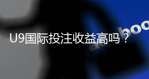U9国际投注收益高吗?真实回报、风险评估与实用盈利策略