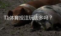 T1体育投注玩法多吗?玩法种类、规则与新手投注攻略一文看懂