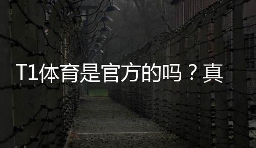 T1体育是官方的吗?真伪辨别、资质查询与使用安全全解析