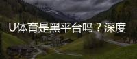 U体育是黑平台吗?深度解析其安全性与玩家评价