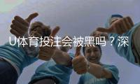 U体育投注会被黑吗?深度解析平台安全性与防黑技巧
