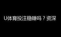U体育投注稳赚吗?资深玩家揭秘稳赢策略与风险控制