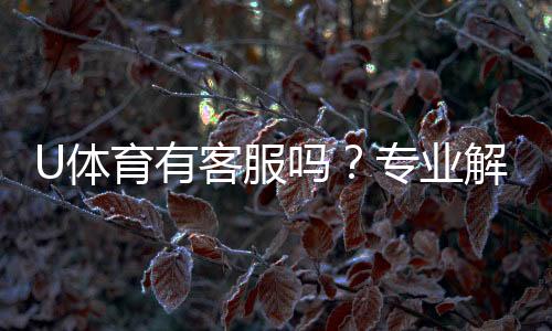 U体育有客服吗?专业解答客服联系方式与服务质量