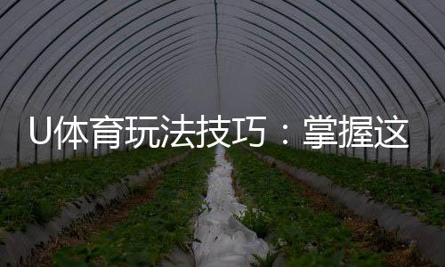 U体育玩法技巧:掌握这些策略让你稳赢不赔