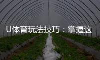 U体育玩法技巧:掌握这些策略让你稳赢不赔