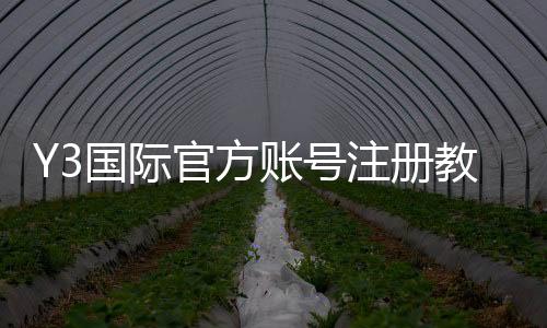 Y3国际官方账号注册教程:新手一步步流程、验证与常见问题详解