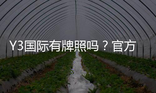 Y3国际有牌照吗?官方资质真伪、监管与安全性全面解析