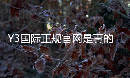 Y3国际正规官网是真的吗?官网入口、注册登录与安全辨别全攻略