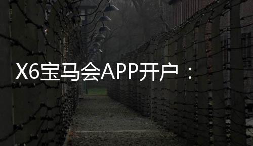 X6宝马会APP开户:新用户注册即享豪华礼包与高额返利