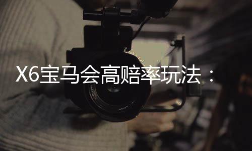 X6宝马会高赔率玩法:揭秘高回报电子游艺实战技巧