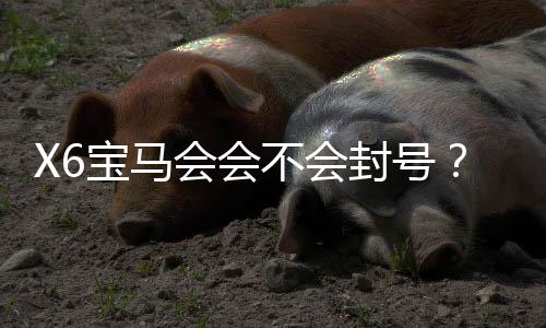 X6宝马会会不会封号?深度解析平台风控与账号安全策略