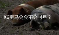 X6宝马会会不会封号?深度解析平台风控与账号安全策略