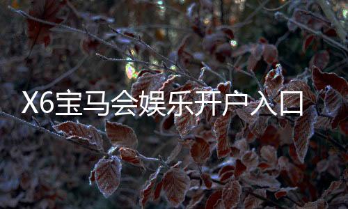 X6宝马会娱乐开户入口:畅享豪华游戏体验的快速通道