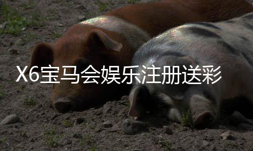 X6宝马会娱乐注册送彩金：新会员首存即赠8888彩金礼遇