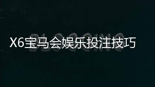 X6宝马会娱乐投注技巧:掌握这5招让你稳赢不赔