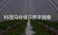 X6宝马会娱乐新手指南:从注册到畅玩的完整攻略