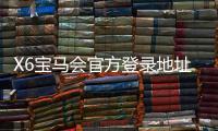 X6宝马会官方登录地址:畅享豪华电游体验与精准投注乐趣