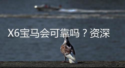 X6宝马会可靠吗?资深玩家揭秘其真实性与游戏体验