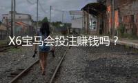 X6宝马会投注赚钱吗?揭秘高胜率玩家的实战技巧与策略