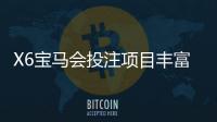 X6宝马会投注项目丰富吗？深度解析平台游戏种类与特色玩法
