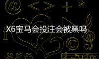 X6宝马会投注会被黑吗?资深玩家揭秘平台安全性与防坑指南