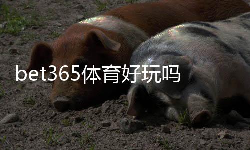 bet365体育好玩吗?真实体验评测:玩法亮点、优缺点与新手入门指南