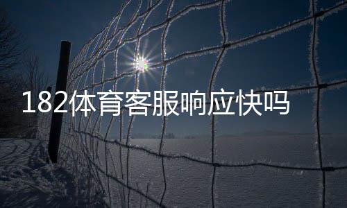182体育客服响应快吗?真实玩家体验与响应速度全面评测