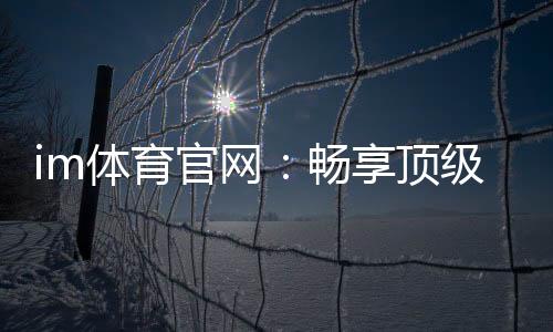 im体育官网:畅享顶级赛事投注与电子游艺的完美体验