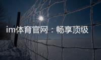 im体育官网:畅享顶级赛事投注与电子游艺的完美体验