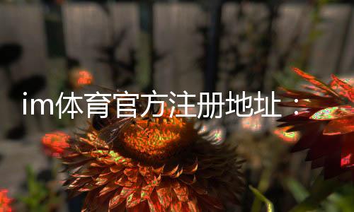 im体育官方注册地址:轻松获取官网入口与注册教程