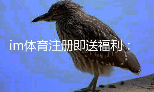 im体育注册即送福利:新用户专享豪礼首存即赠彩金!