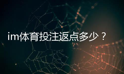 im体育投注返点多少?揭秘高返水平台隐藏福利