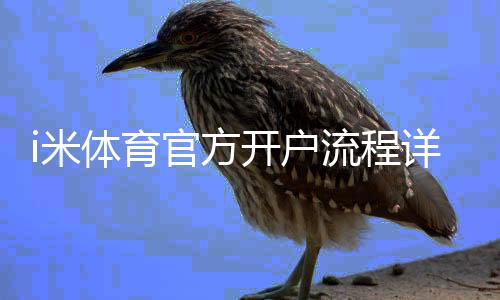 i米体育官方开户流程详解：新手注册步骤、实名认证与常见问题
