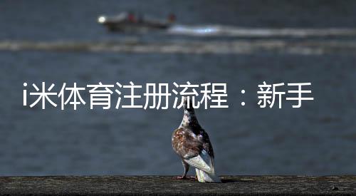 i米体育注册流程:新手3分钟快速开户指南