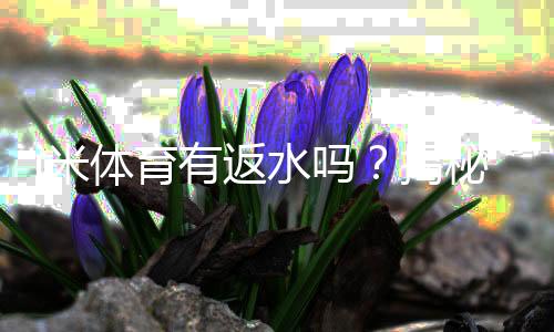 i米体育有返水吗?揭秘返水规则与领取攻略