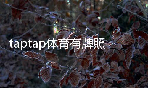 taptap体育有牌照吗?权威解读与真假资质辨别指南
